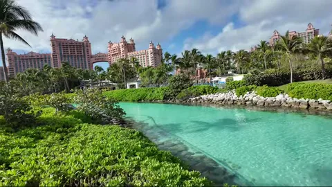 Turquoise lagoon with Atlantis hotel framed by palms and greenery