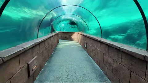 Underwater glass tunnel with turquoise water at Aquaventure