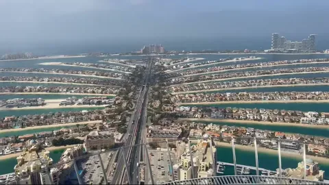 The View at The Palm