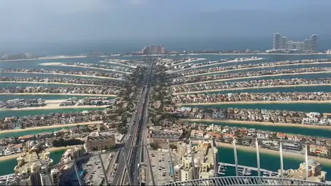 The View at The Palm — фото 2