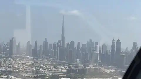 The View at The Palm — фото 5